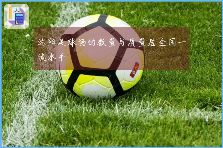 沈阳足球场的数量与质量居全国一流水平