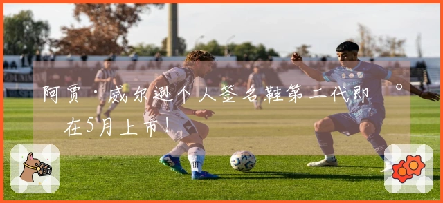 阿贾·威尔逊个人签名鞋第二代即将在5月上市！