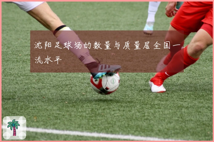 沈阳足球场的数量与质量居全国一流水平